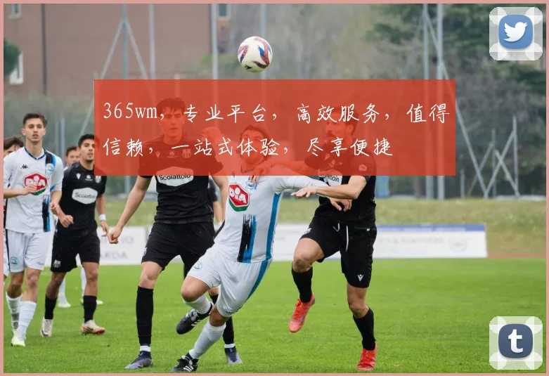 365wm，专业平台，高效服务，值得信赖，一站式体验，尽享便捷