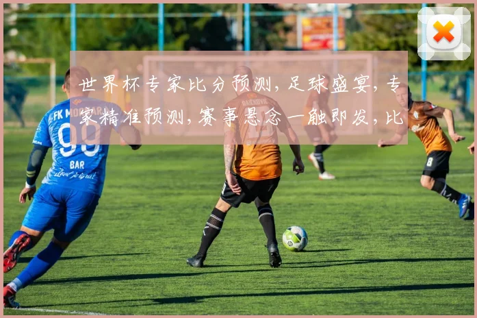 世界杯专家比分预测,足球盛宴,专家精准预测,赛事悬念一触即发,比分揭晓在即,敬请期待。
